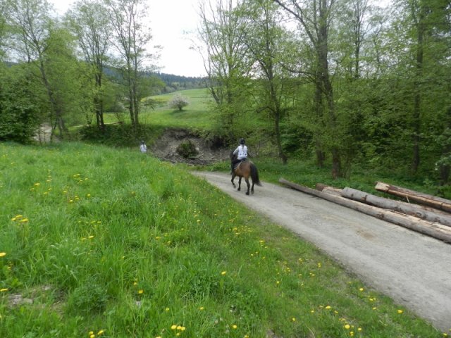 Rajd Mszana Górna 2015